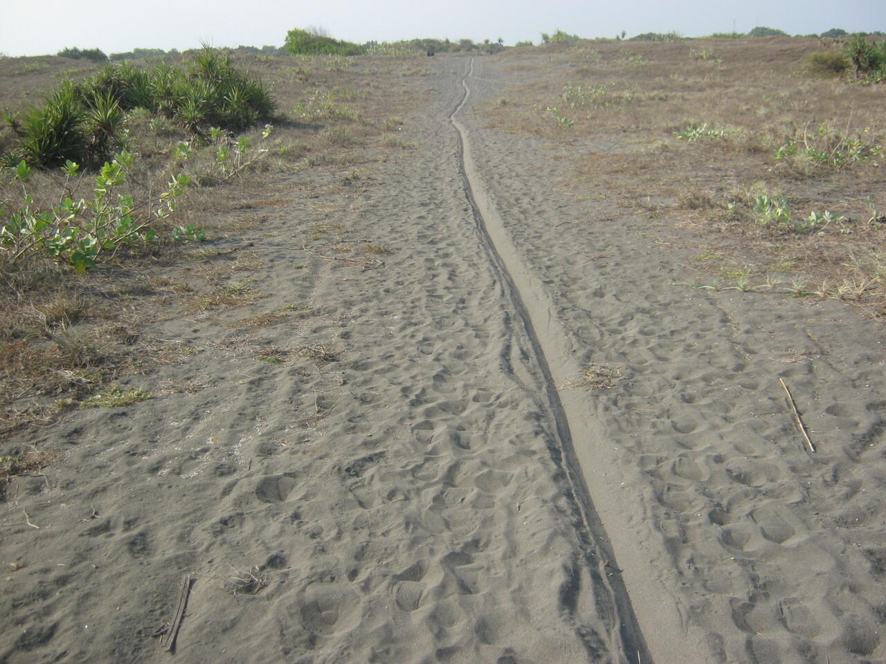 Menyusuri Jalur Deandles (Kabupaten Purworejo) dan Sepenggal Pantai Nggenjik