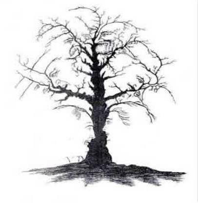 Tipuan mata....yuk masuk gan...