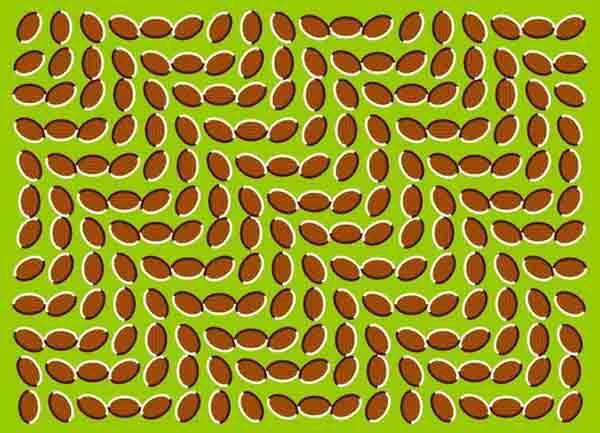 Tipuan mata....yuk masuk gan...