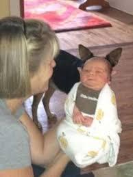 Akibat seorang Ibu di gigit Anjing