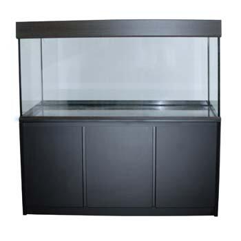 aquarium ikan hias