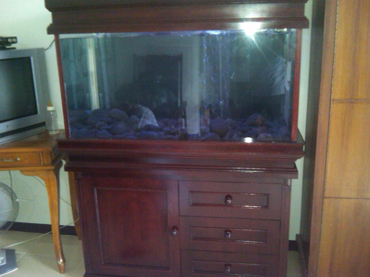 aquarium ikan hias