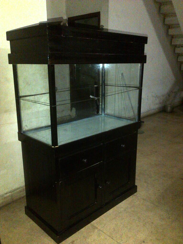aquarium ikan hias