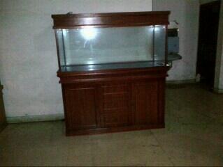 aquarium ikan hias