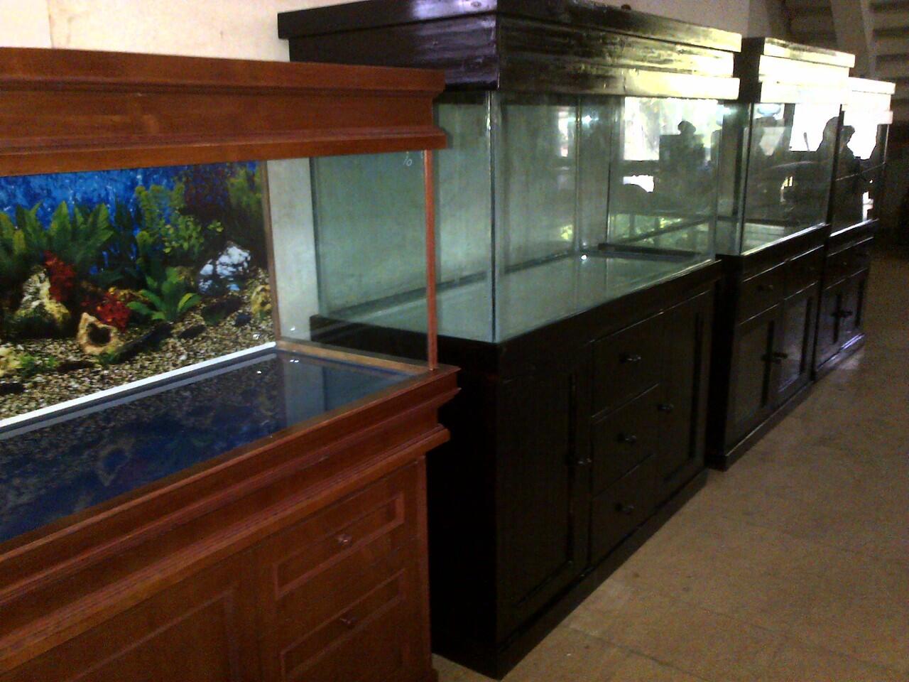 aquarium ikan hias