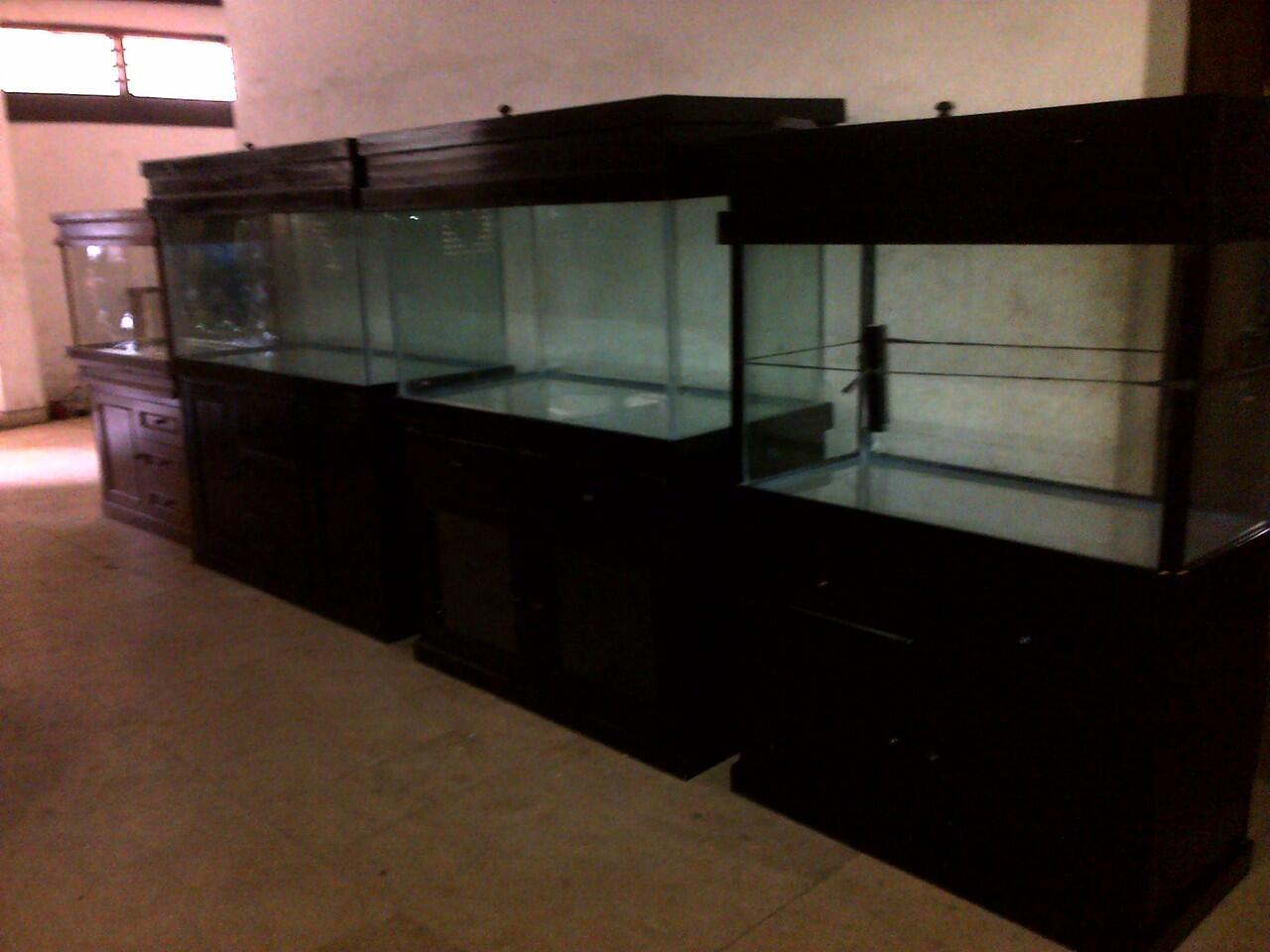 aquarium ikan hias