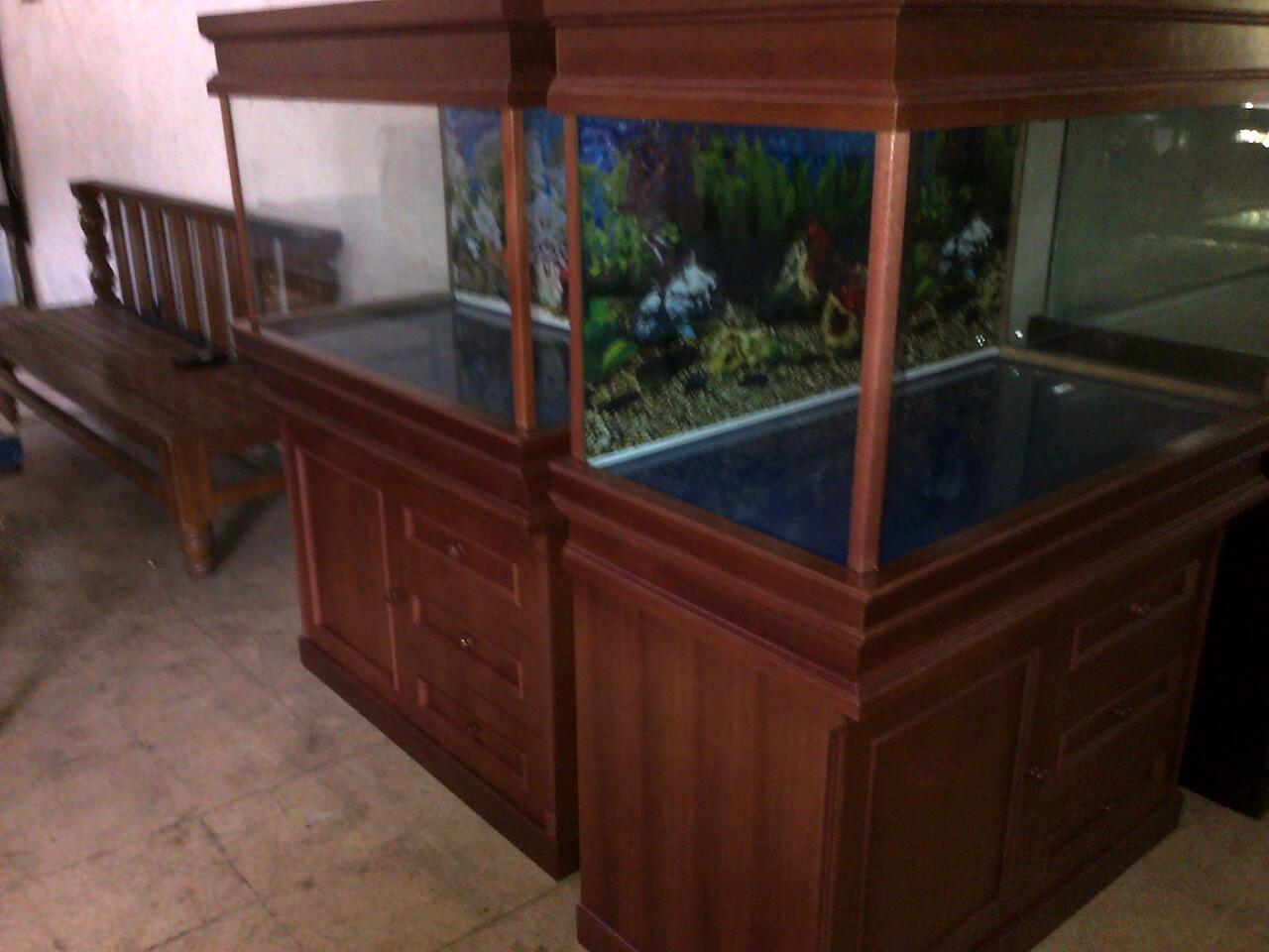 aquarium ikan hias