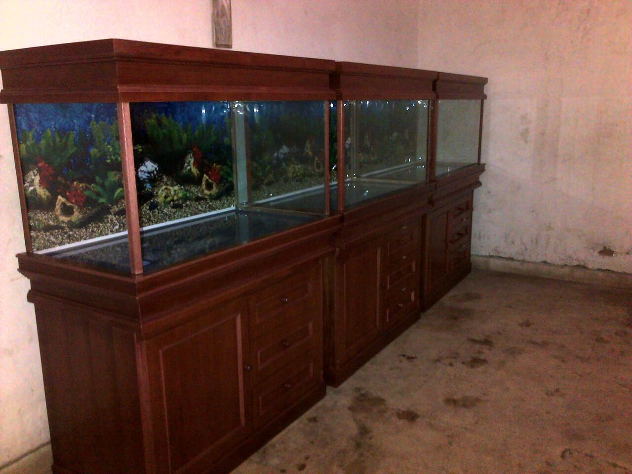 aquarium ikan hias