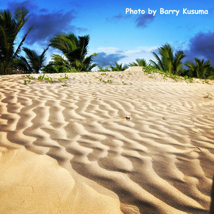 Pantai Payum, bukti keindahan di Merauke Papua.