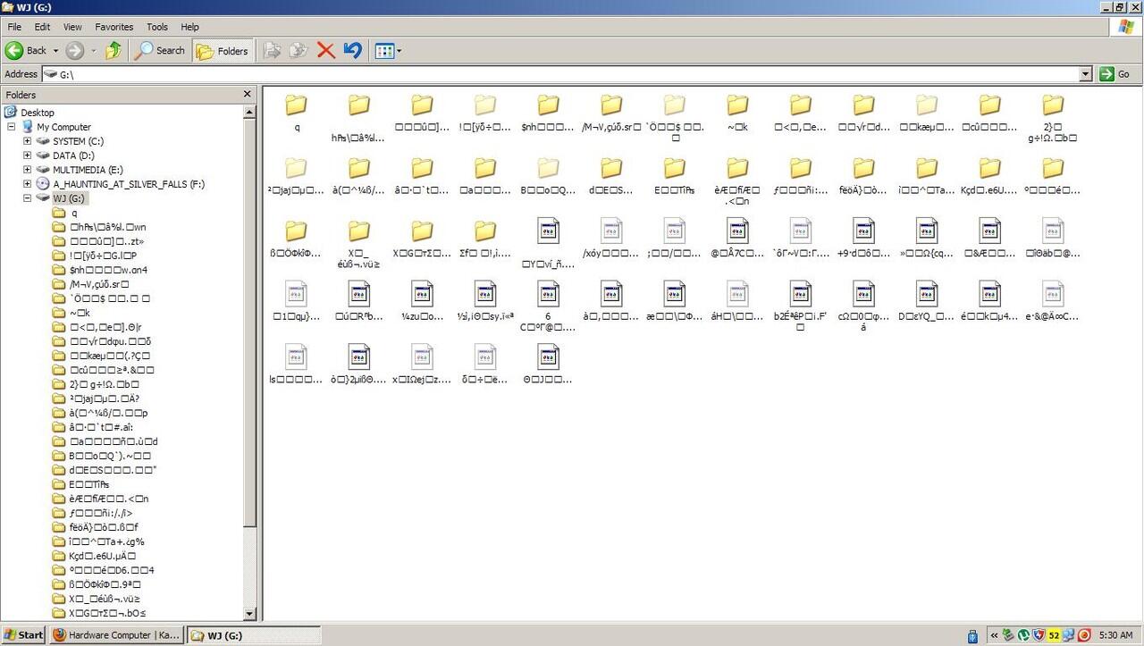 Tolong Perbaiki Data File saya Di Flashdisk