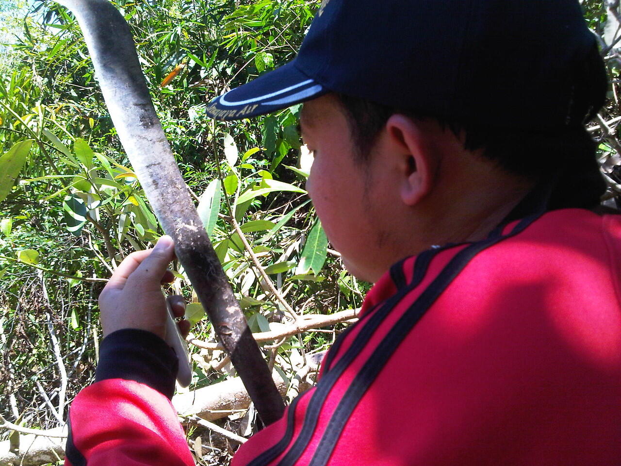 KEINDAHAN DAM WAY ELA SEBELUM JEBOL 