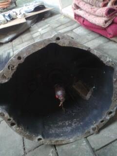 Bak Kopling Kijang Super 4 Speed,, Murah gan,,,,
