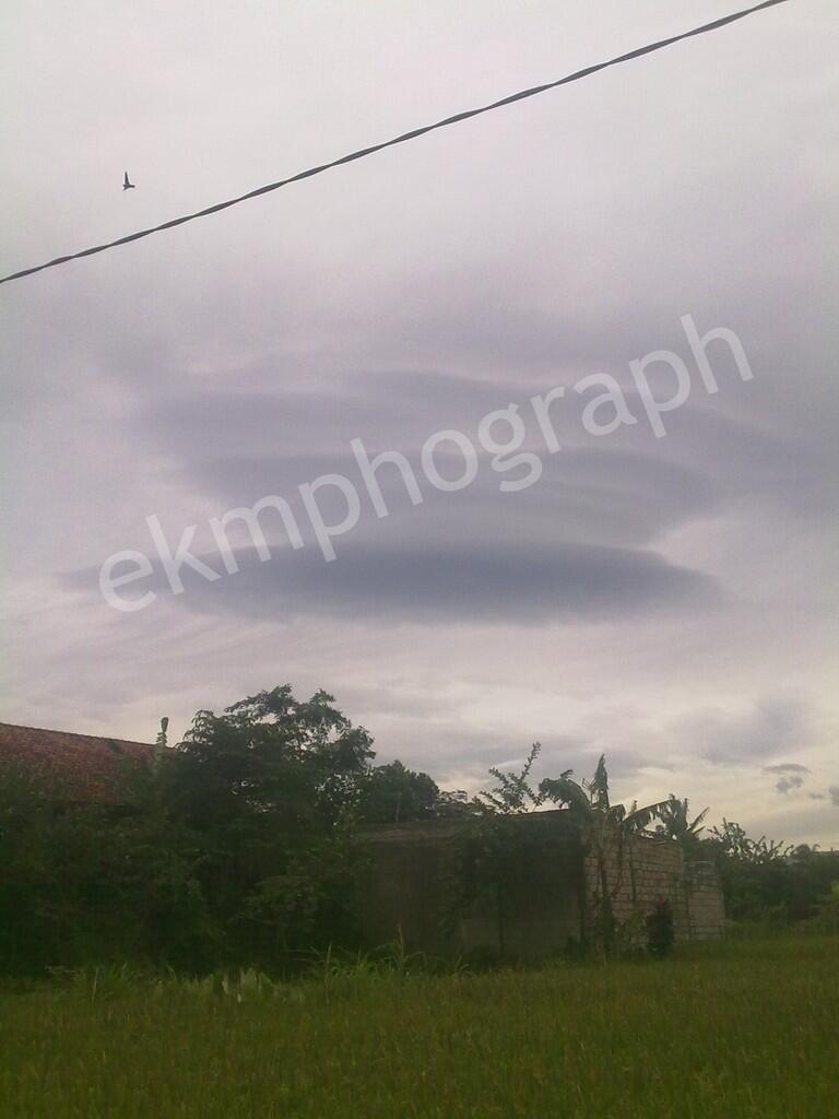 Pohon mangga berbuah pisang (asli kumpulan foto pribadi fenomena alam paling aneh)