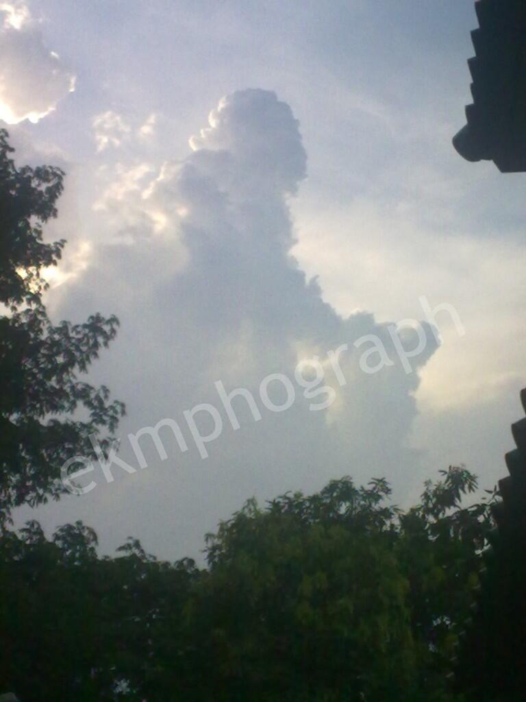 Pohon mangga berbuah pisang (asli kumpulan foto pribadi fenomena alam paling aneh)