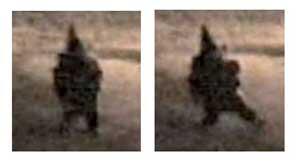 8 Misteri dunia yang cukup aneh
