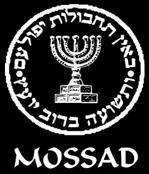 Turki Tangkap Seekor Burung, Diduga Agen Mossad 