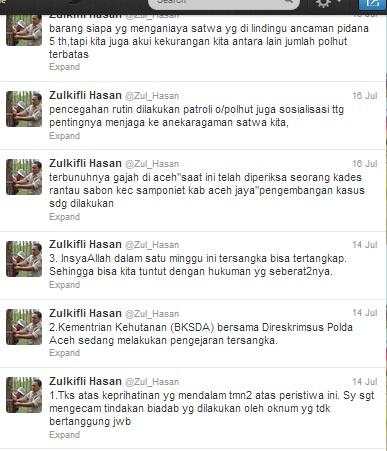 Kisah Raju, seekor Gajah Sumatra yang ditemukan sendiri di hutan tanpa induk