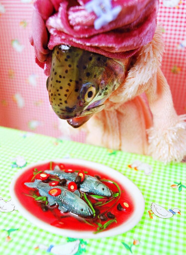 Aktifitas Lucu Para Ikan Karya Anne Catherine Becker Echivard