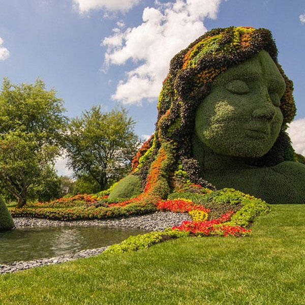 Silahkan mampir gan,monggo ^^ (MOSAICULTURE EXHIBITION 2013)