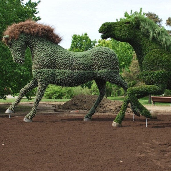 Silahkan mampir gan,monggo ^^ (MOSAICULTURE EXHIBITION 2013)
