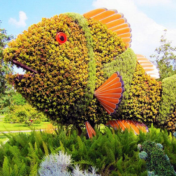 Silahkan mampir gan,monggo ^^ (MOSAICULTURE EXHIBITION 2013)
