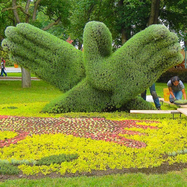 Silahkan mampir gan,monggo ^^ (MOSAICULTURE EXHIBITION 2013)