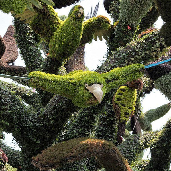 Silahkan mampir gan,monggo ^^ (MOSAICULTURE EXHIBITION 2013)