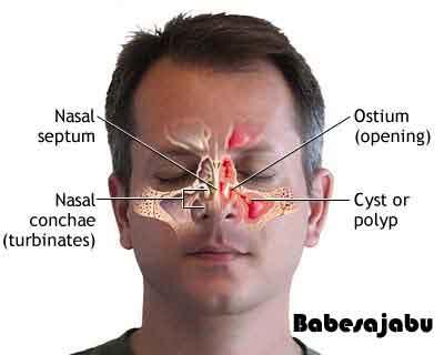 Fakta tentang ingus