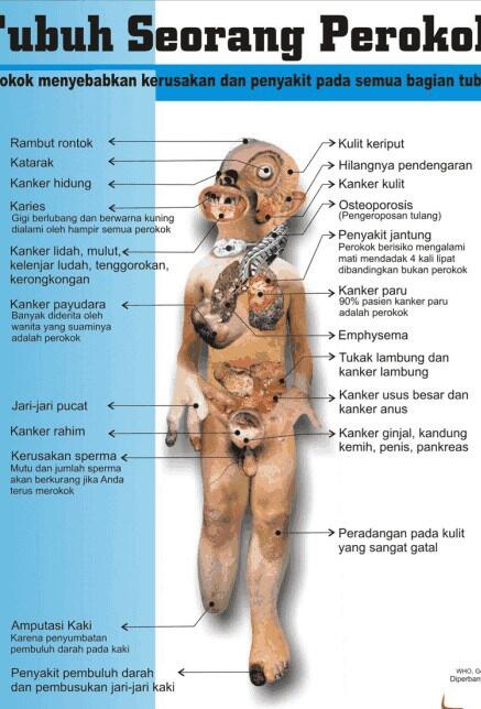 BAHAYA MEROKOK SEHABIS BERBUKA!!!