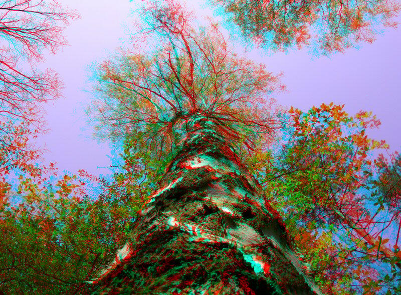 Gambar 3D Anaglyph gan,,ga semua orang bisa liat,,Buktiin aja....