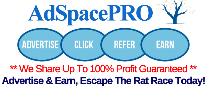 AdspacePro = Gabungan Reveneu share dan ad networking 