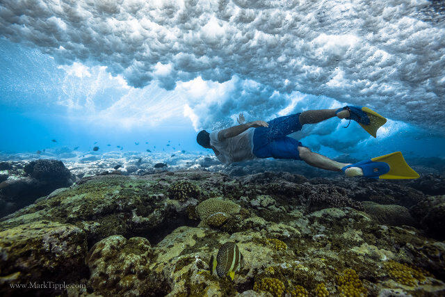 Mark Tipple dan Proyek Foto Bawah Lautnya