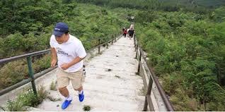 10 Desain Anak Tangga yang Unik dan Kreatif