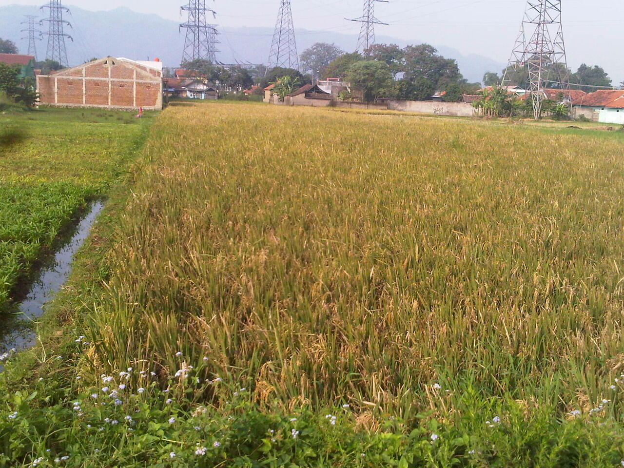 WTS Jual Tanah di daerah batujajar Bandung Barat