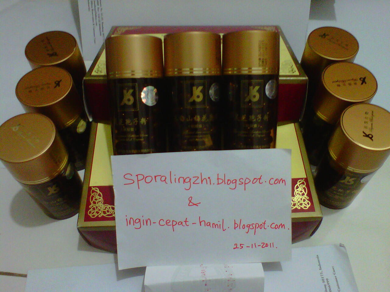 Spora Lingzhi (untuk Liver, Hepatitis, Anti Tumor/kanker)