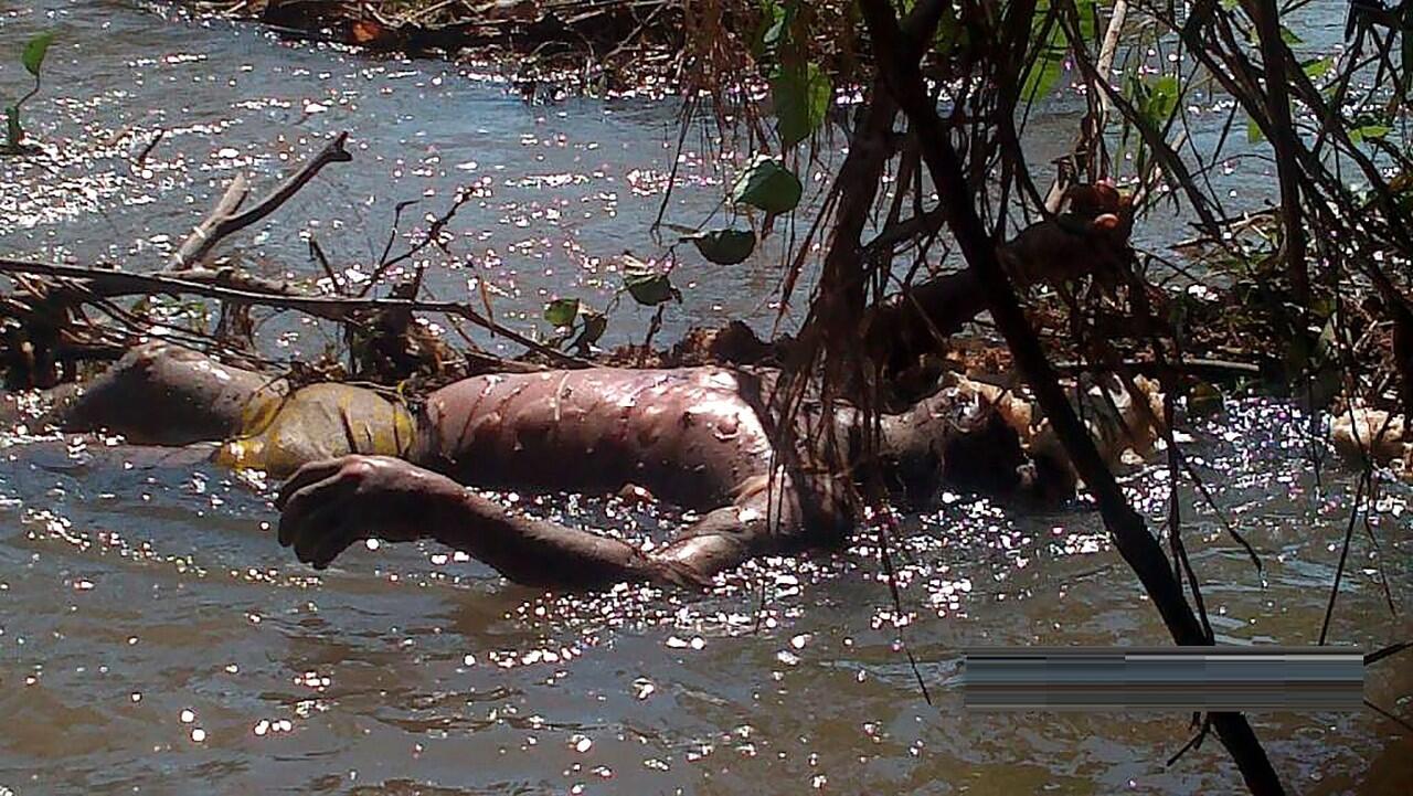 ***** ikan duyung ampe ngelupes ngelupes *****
