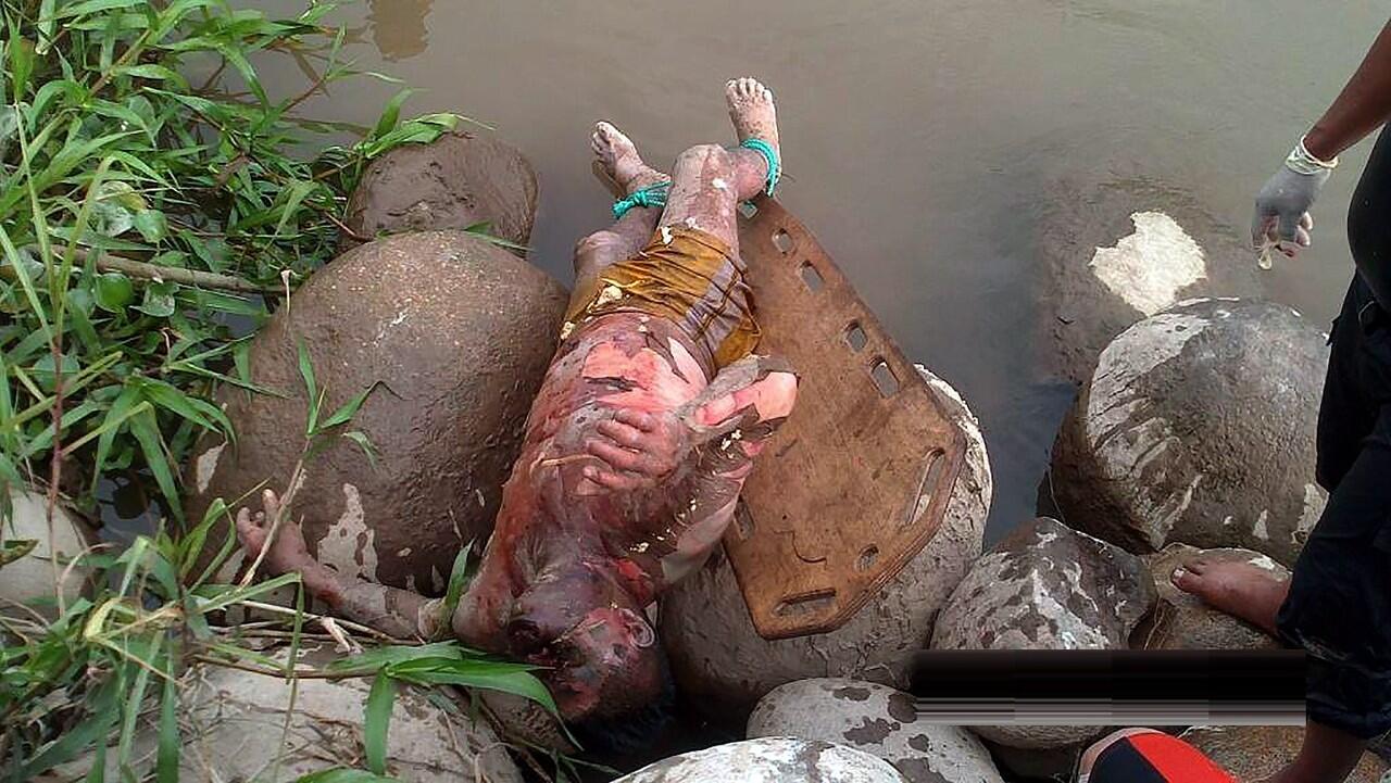 ***** ikan duyung ampe ngelupes ngelupes *****