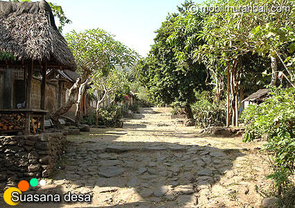 perang pandan Bali