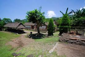perang pandan Bali