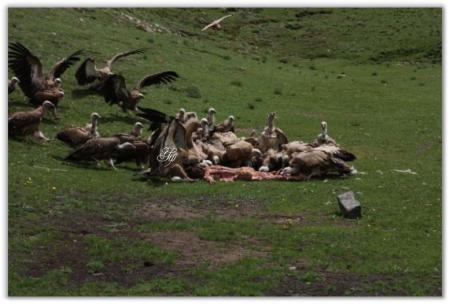 Tradisi pemakaman di atap dunia tibet