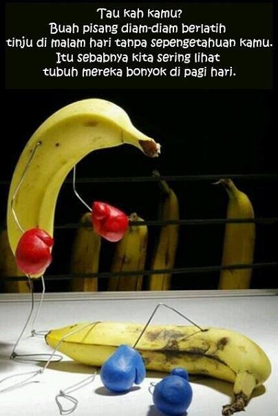 &#91;Pengetahuan&#93; Ini lah sebab kenapa pisang gampang jadi bonyok...