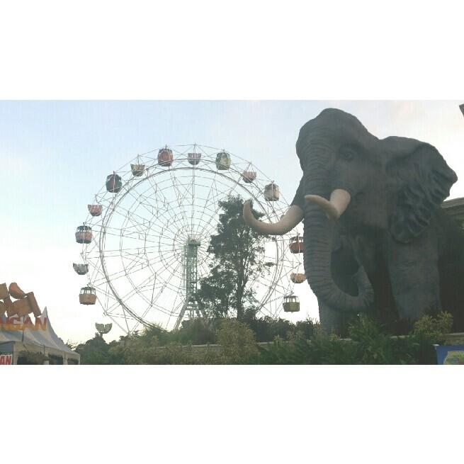 Komenin Foto Instagram Ane Dong (Asli Jepretan Sendiri)