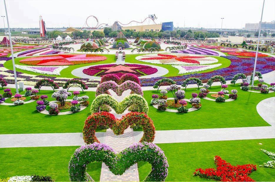 Dubai Miracle Garden Taman Bunga Terbesar Di Dunia Yang 