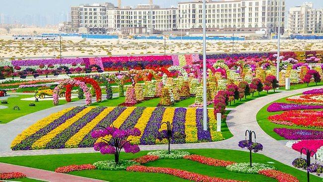 &#91;PIC&#93; Dubai Miracle Garden Taman Bunga Terbesar Di Dunia Yang Indah