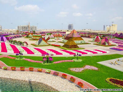&#91;PIC&#93; Dubai Miracle Garden Taman Bunga Terbesar Di Dunia Yang Indah