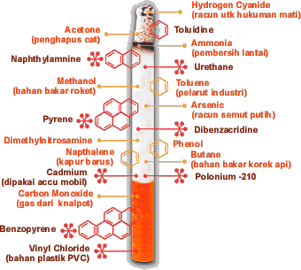 keunikan dan bahayanya rokok