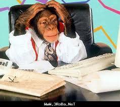 Gan mampir dulu nyok disini ada hewan hewan yang sangat amat lucu :)