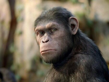 Gan mampir dulu nyok disini ada hewan hewan yang sangat amat lucu :)