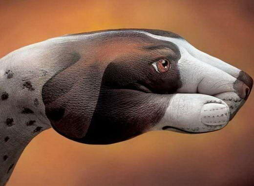 Karya Seni Dari Tangan Manusia yang MenakjubkanGuido Daniele lahir di Soverato (Itali