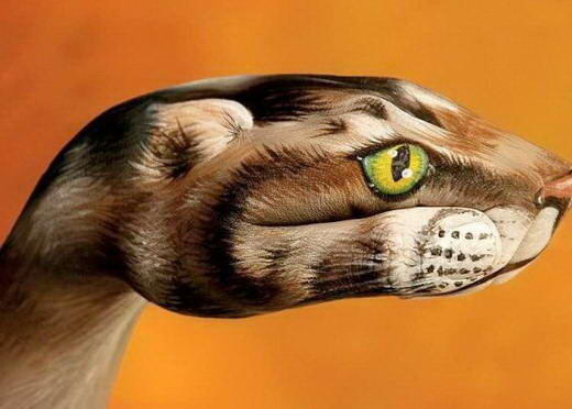 Karya Seni Dari Tangan Manusia yang MenakjubkanGuido Daniele lahir di Soverato (Itali